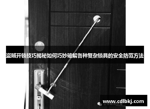 盗贼开锁技巧揭秘如何巧妙破解各种复杂锁具的安全防范方法 盗贼开锁技巧揭秘如何巧妙破解各种复杂锁具的安全防范方法